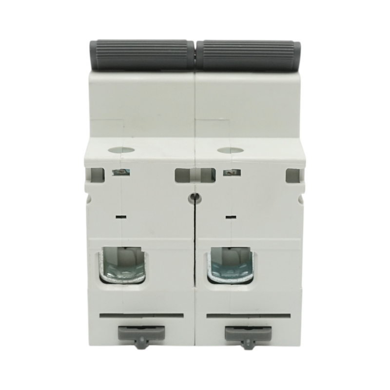Interruttore automatico magnetotermico (MCB) Longroad, 2P, 100A, 415VAC, 6kA