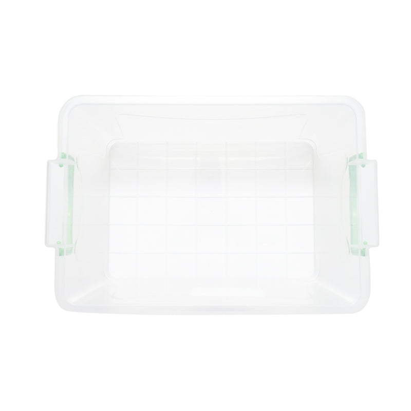 Scatola portaoggetti in plastica trasparente da 5 l con coperchio, 305x210x135 mm