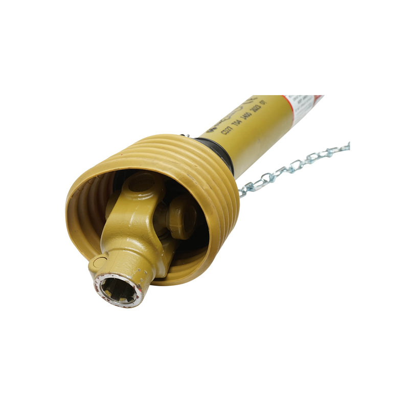 DISCD88_5_4e426cf7-8c1b-4e07-acdb-f7867d3770c3.jpeg (28526711)