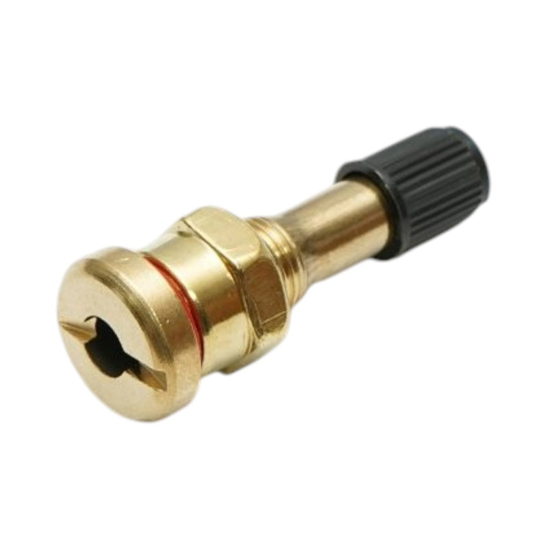 Valvola da 45 mm per ruote tubeless di autocarri V3-20-1