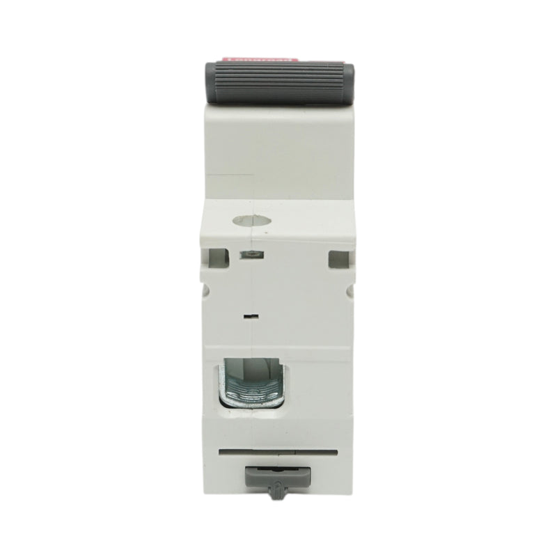 Interruttore automatico magnetotermico (MCB) Longroad, 1P, 100 A 240 V CA, 6 kA