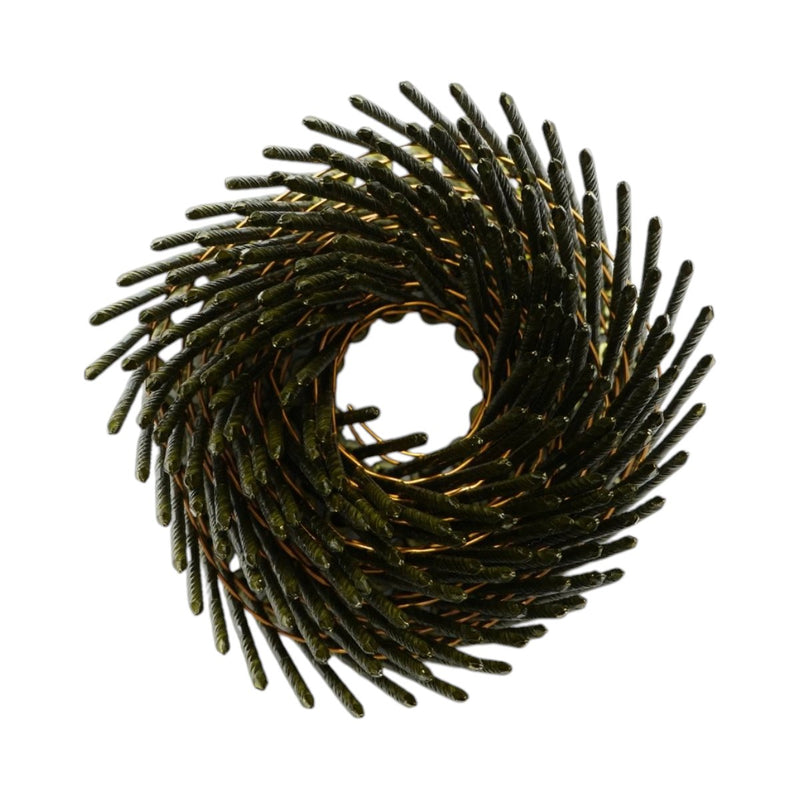 Set di 4.500 chiodi in bobina a gambo anulare per edilizia (2,8x80 mm): 225 chiodi/bobina, 20 bobine/scatola.