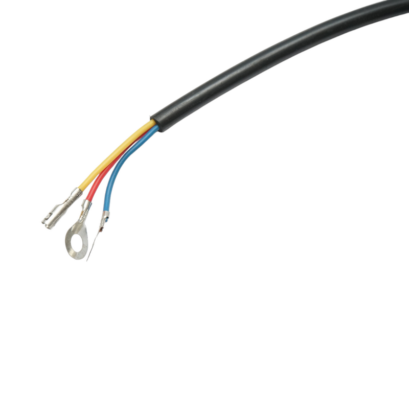 Pulsante di comando per kit di ribaltamento idraulico di triciclo elettrico da 1 tonnellata (DISFE06)