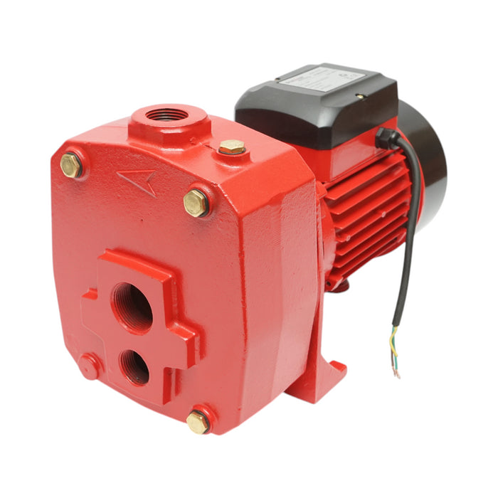 Elettropompa Autoadescante Pompa di superficie 1100W, 220V, prevalenza 38 metri, portata 100 litri/minuto, modello DP505 Breckner Germany