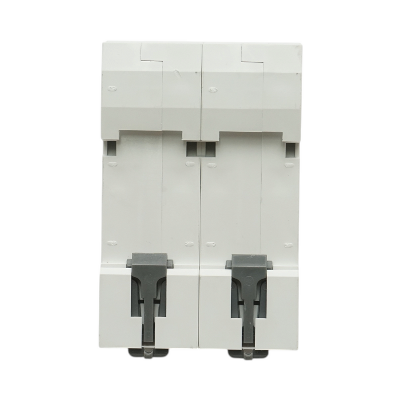 Interruttore automatico magnetotermico (MCB) Longroad, 2P, 100A, 415VAC, 6kA
