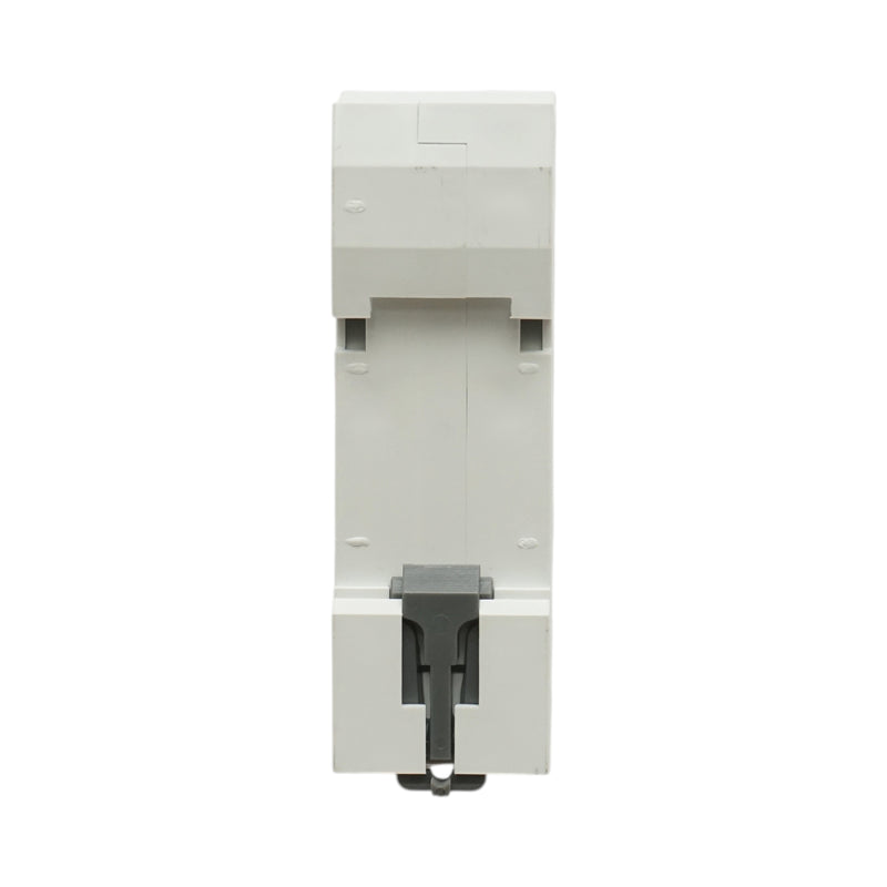 Interruttore automatico magnetotermico (MCB) Longroad, 1P, 100 A 240 V CA, 6 kA